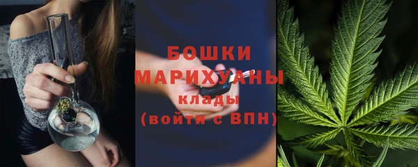дживик Костерёво