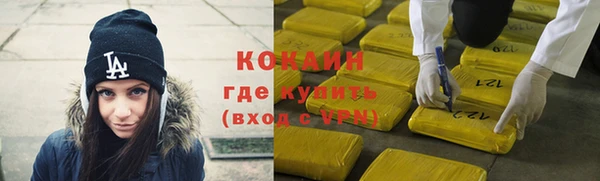 дживик Костерёво
