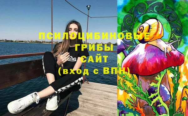 дживик Костерёво