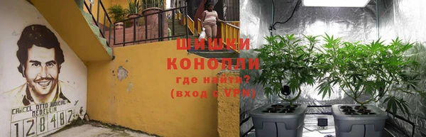 дживик Костерёво