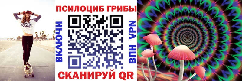 Купить  Циолковский  Галлюциногенные грибы Cubensis 