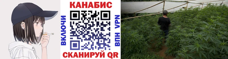 Купить закладки  Циолковский  МАРИХУАНА план 